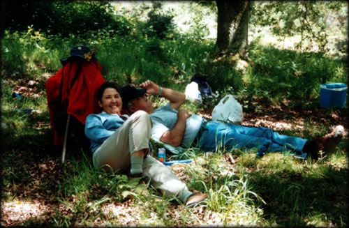 Picnic