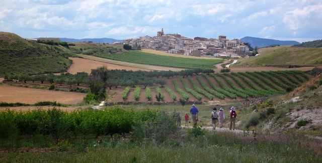 Camino de Santiago