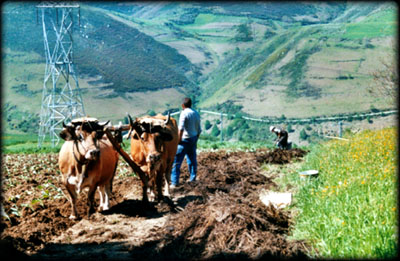 Road to Portomarín