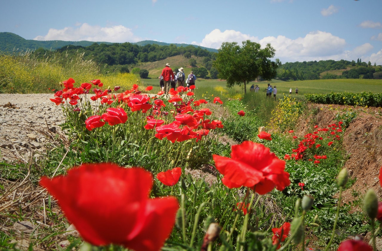 Camino de Santiago Tour