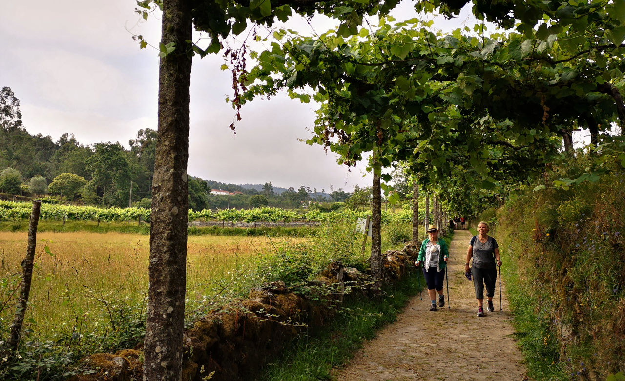 CAMINO PORTUGUESE TOUR