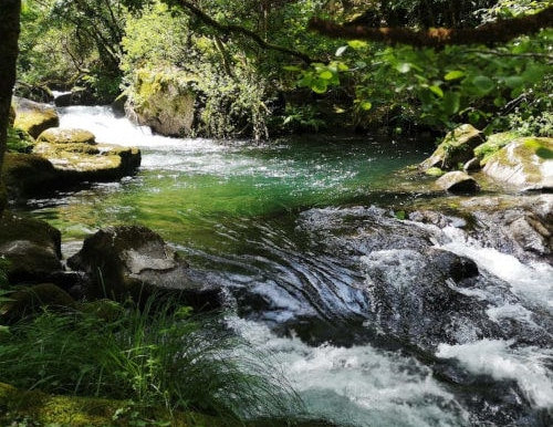Galicia