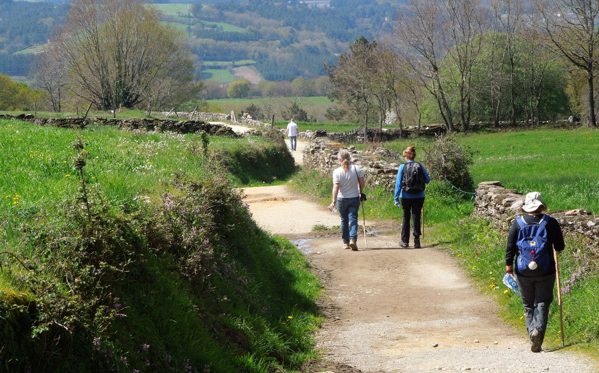 Camino