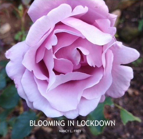 Blooming in Lockdown