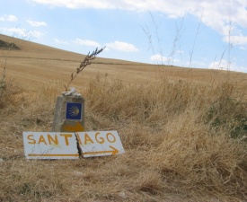 Camino waymarker