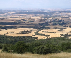 Looking towards Puente la Reina Photo - Peake