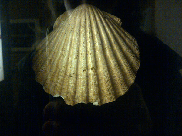 Oldest Known Pilgrim's Scallop Shell in Santiago de Compostela