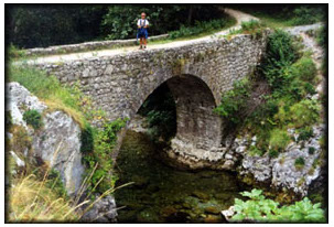 Bridge of Camino de Santiago