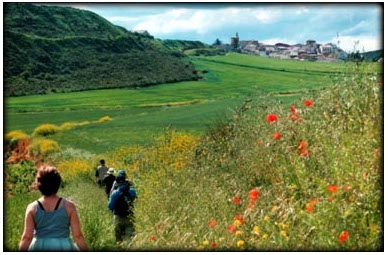 Camino de Santiago Tour