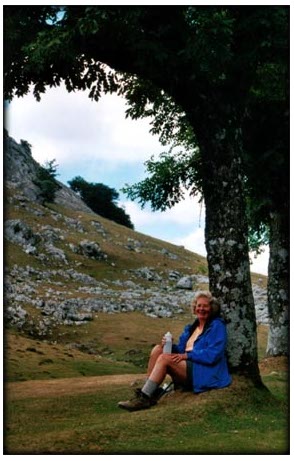 Camino de Santiago Tour